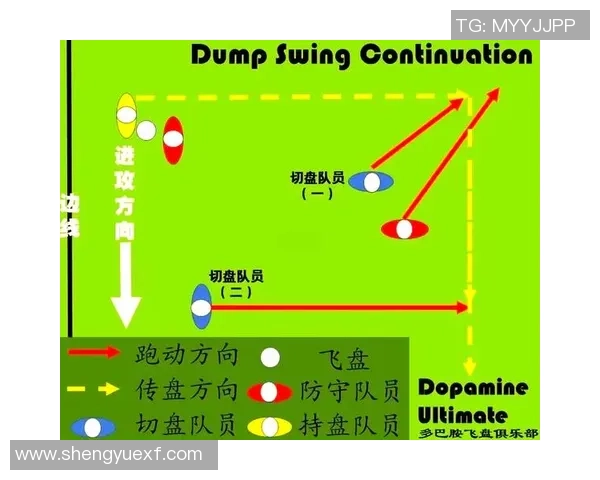 北京飞盘队包夹战术分析与比赛表现的得失总结